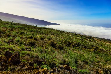 Manzara İspanya Tenerife adasında