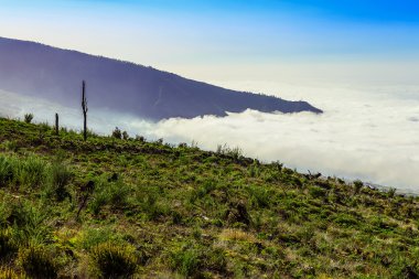 Manzara İspanya Tenerife adasında