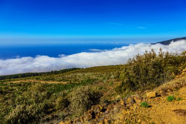 Manzara İspanya Tenerife adasında