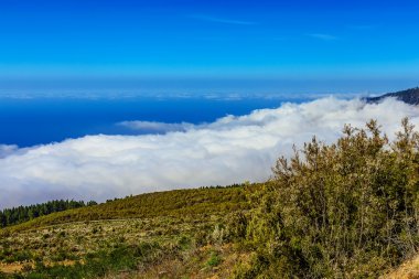 Manzara İspanya Tenerife adasında