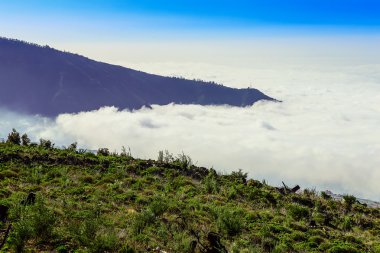 Manzara İspanya Tenerife adasında