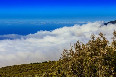 Manzara İspanya Tenerife adasında