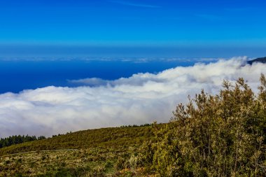 Manzara İspanya Tenerife adasında