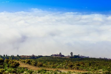 Manzara İspanya Tenerife adasında