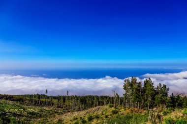 Manzara İspanya Tenerife adasında