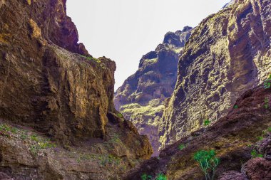 Rocky Dağları İspanya Tenerife adasında