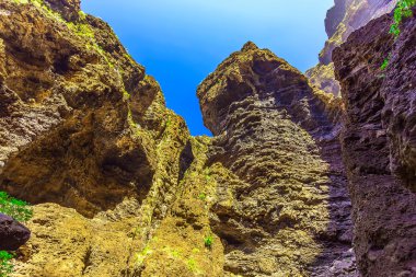 Rocky Dağları İspanya Tenerife adasında