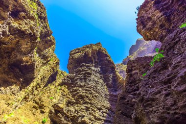 Rocky Dağları İspanya Tenerife adasında