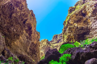 Rocky Dağları İspanya Tenerife adasında