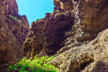 Rocky Dağları İspanya Tenerife adasında