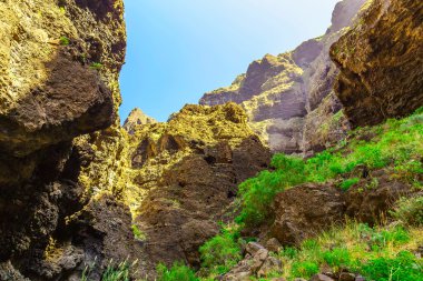 Rocky Dağları İspanya Tenerife adasında
