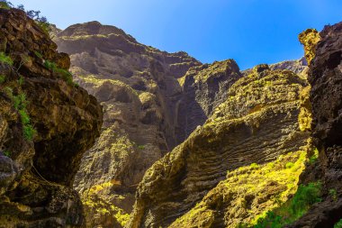 Rocky Dağları İspanya Tenerife adasında