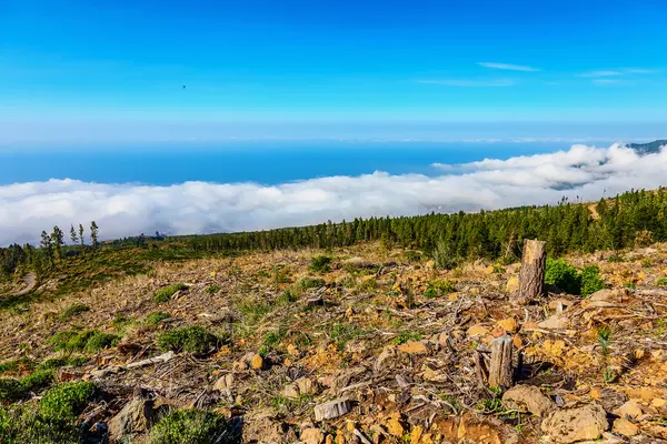 Paysage sur l'île de Tenerife en Espagne — Photo