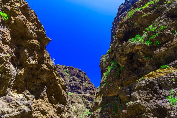 Skalnaté hory na ostrově Tenerife ve Španělsku — Stock fotografie