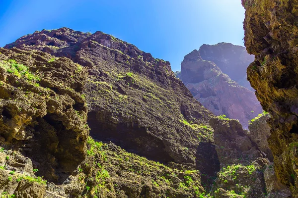 Skalnaté hory na ostrově Tenerife ve Španělsku — Stock fotografie