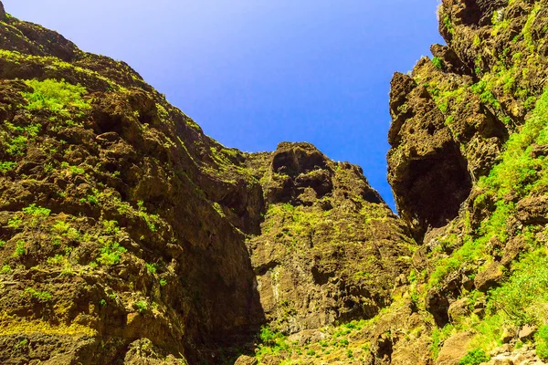 Skalnaté hory na ostrově Tenerife ve Španělsku — Stock fotografie