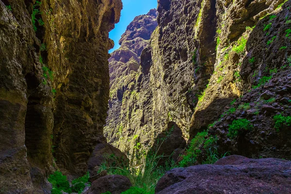 Montanhas rochosas na ilha de Tenerife, na Espanha — Fotografia de Stock