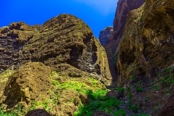 Skalnaté hory na ostrově Tenerife ve Španělsku — Stock fotografie