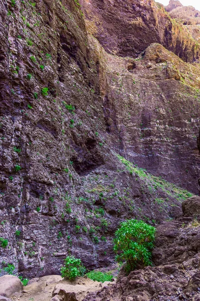 Montanhas rochosas na ilha de Tenerife, na Espanha — Fotografia de Stock