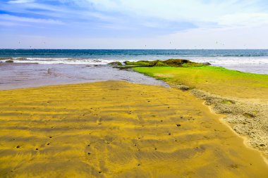 Tenerife adasında kum plaj