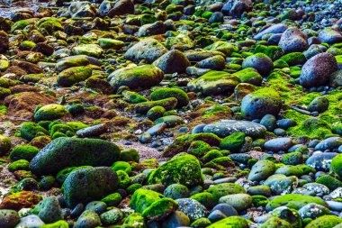 Yeşil taşları doğal arka plan