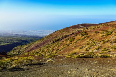 Tenerife adasında Vadisi manzara