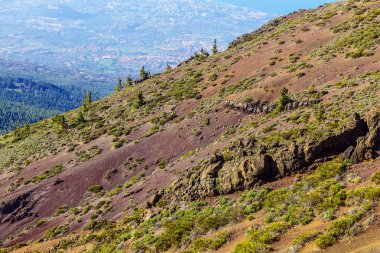 Tenerife adasında Vadisi manzara