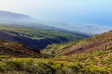 Tenerife adasında Vadisi manzara