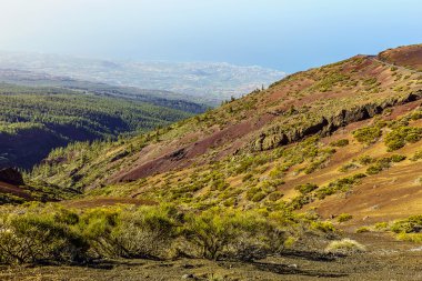 Tenerife adasında Vadisi manzara