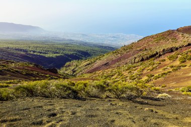 Tenerife adasında Vadisi manzara