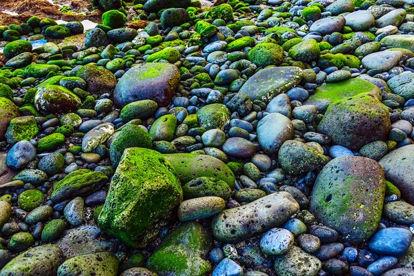 Gröna stenar naturliga bakgrund — Stockfoto