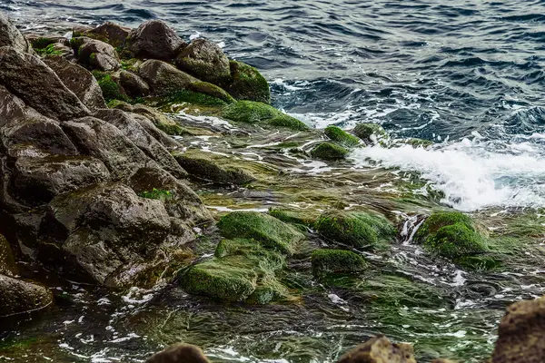 Okyanus arka plan içinde plaj taşlar — Stok fotoğraf