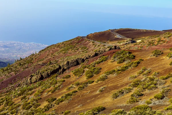Paysage de vallée dans l'île de Tenerife — Photo