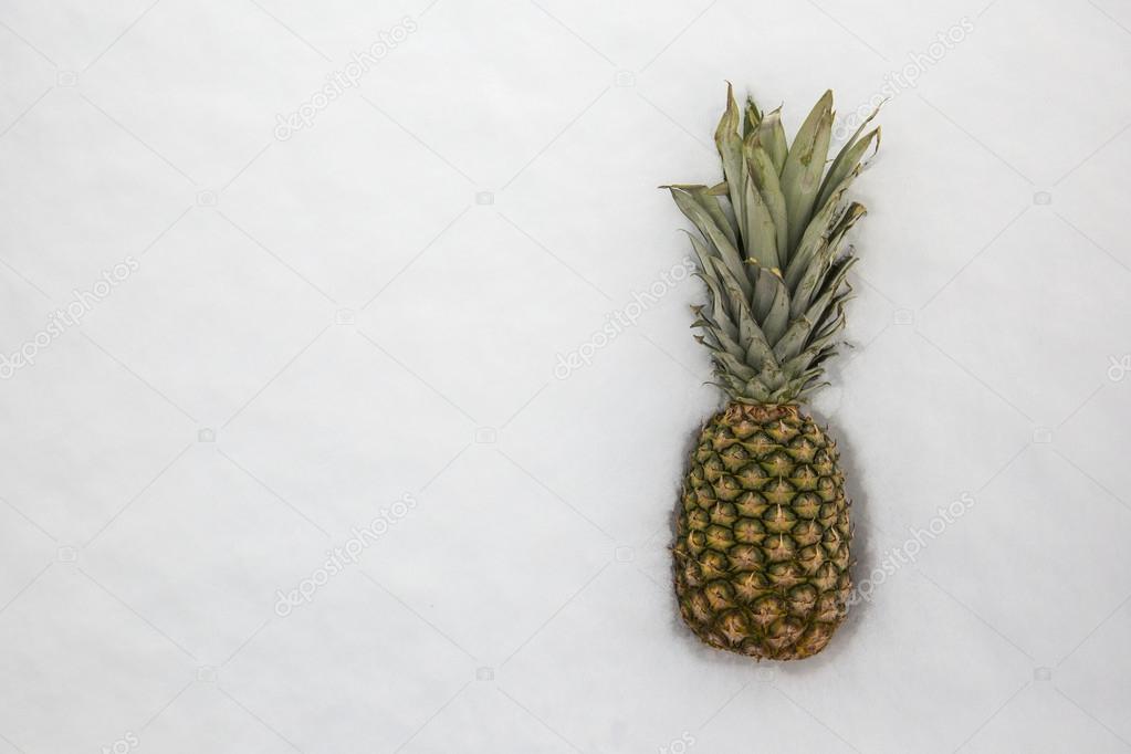 Pineapple in the snow