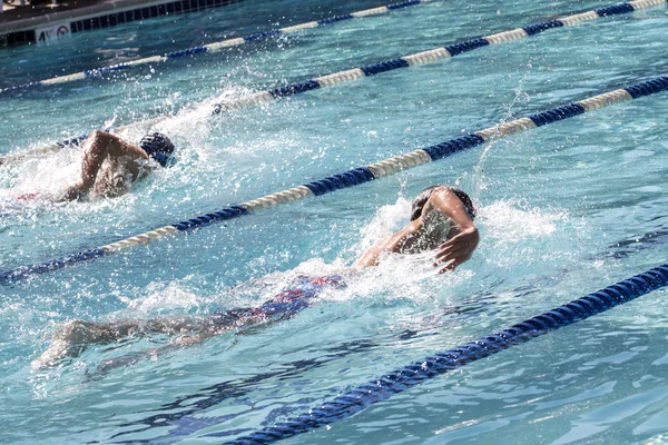 Schwimmer beim Schwimmen treffen sich — Stockfoto