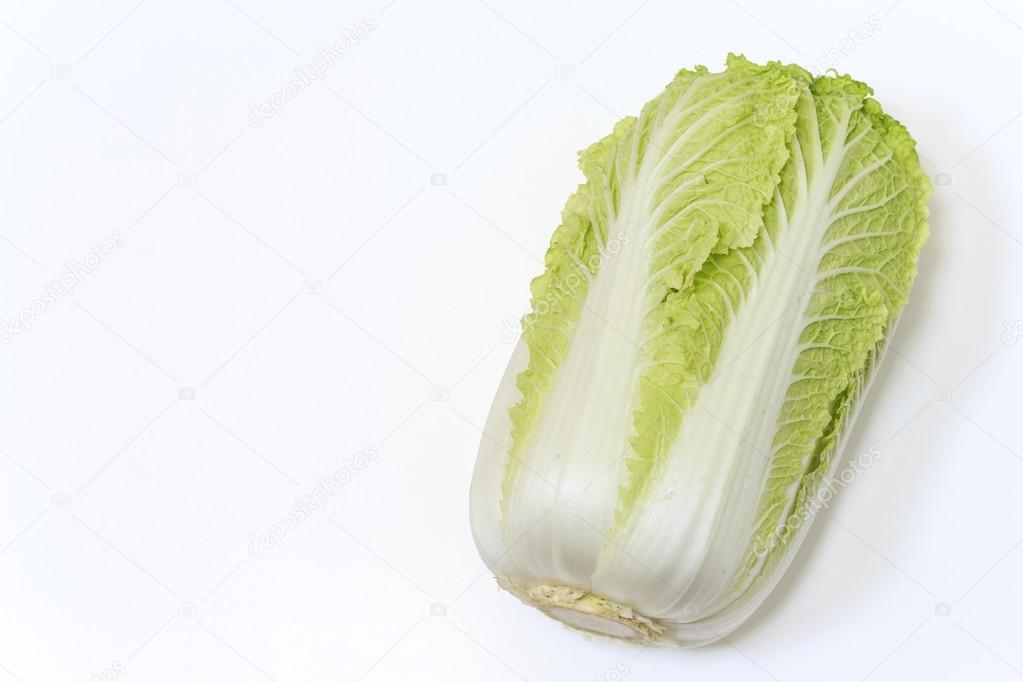 Fresh Napa cabbage