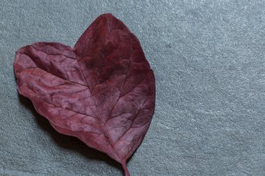 kalp şeklinde yaprak