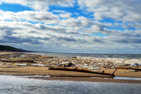 발트 해 더러운 해안선 근처 예약 마, 라트비아 — 스톡 사진