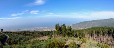 Yeşil manzara adasının Tenerife, İspanya
