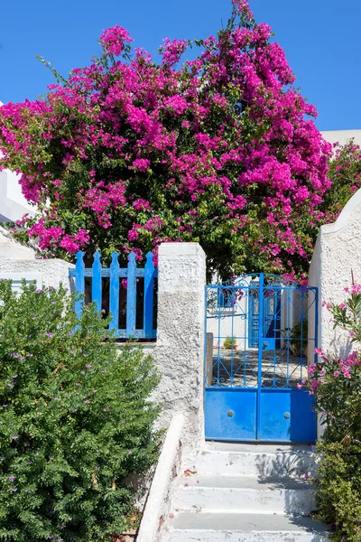 Colorful quiet backyard with beautiful flowers and classic traditional architecture of Santorini island — Stock Photo, Image