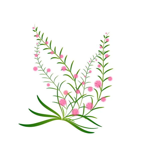 Hierba con conjunto de flores, ilustración vectorial — Archivo Imágenes Vectoriales