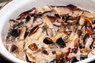 Ormanda yenilebilir mantar pişirmek. Imleria Badia 'yı, Suillus' u, Leccinum 'u bir tencerede haşladı..