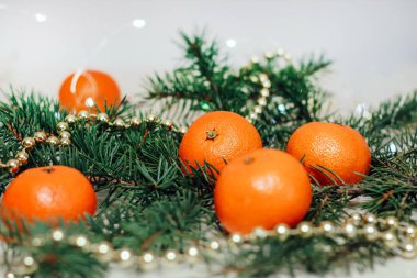 Bir Noel çelenginin arka planına karşı ladin dalında Clementines.