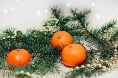 Bir Noel çelenginin arka planına karşı ladin dalında Clementines.