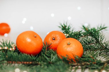Bir Noel çelenginin arka planına karşı ladin dalında Clementines.