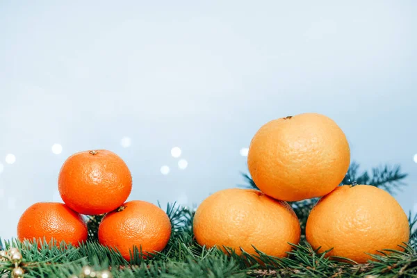 Clementinen Und Mandarinen Auf Einem Fichtenzweig Vor Weihnachtlichem Hintergrund — Stockfoto