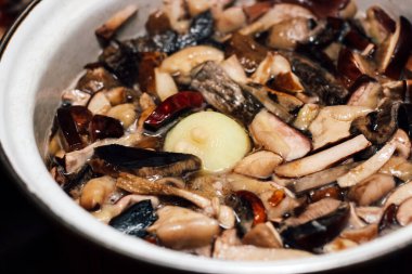 Ormanda yenilebilir mantar pişirmek. Imleria Badia 'yı, Suillus' u, Leccinum 'u bir tencerede haşladı..