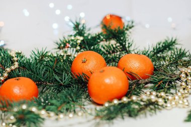 Bir Noel çelenginin arka planına karşı ladin dalında Clementines.