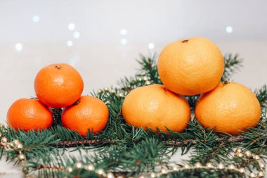 Noel arkaplanındaki ladin dalında Clementines ve mandalinalar.