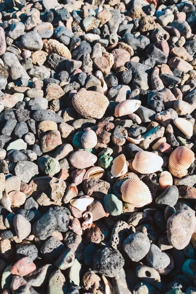 Marine Natural Background Pebbles Shells Glass — Stock Photo, Image